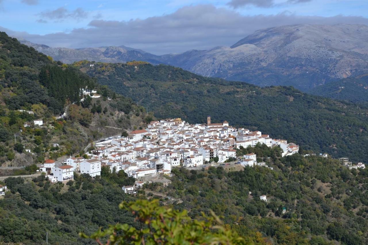 El Patio Dona Julia Διαμέρισμα Casares Εξωτερικό φωτογραφία