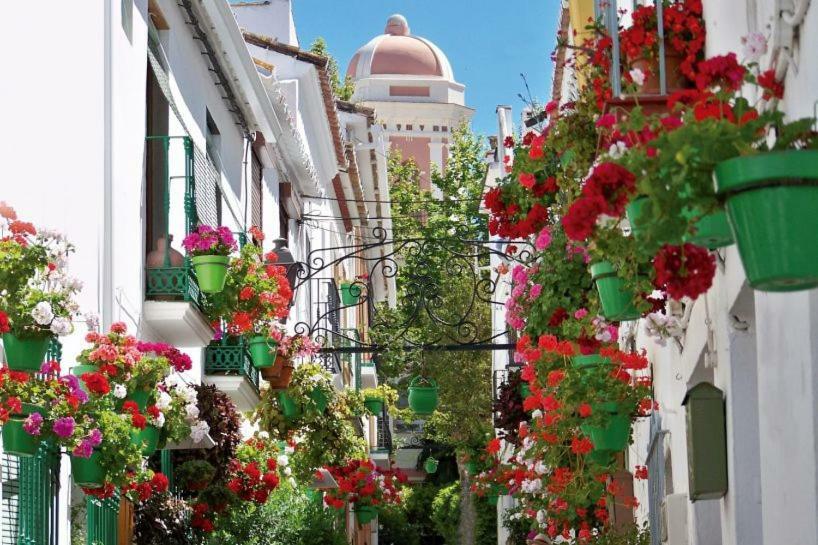 El Patio Dona Julia Διαμέρισμα Casares Εξωτερικό φωτογραφία