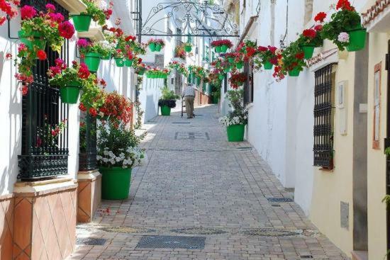 El Patio Dona Julia Διαμέρισμα Casares Εξωτερικό φωτογραφία